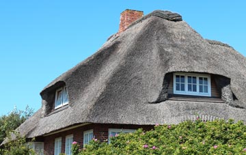 thatch roofing Swansea